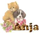 Name