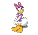 shy Daisy