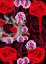 bloody roses