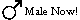 Male