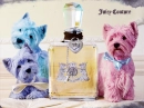 Juicy Couture