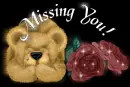 Missing You