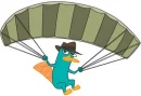 pery the playtpus