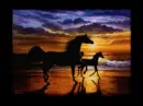 Horses Sunset! 