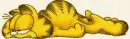 lazy garfield