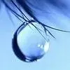 Teardrop