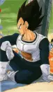 Vegeta sit
