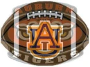 Auburn University 