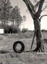 B/W tree