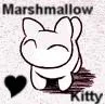 kitty
