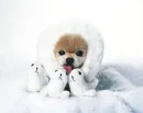 burrrrrrrr