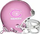Chicago Bears Pink Helmet with Name