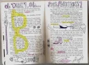 diary