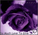 So Much Love To Give