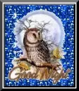 Good Night