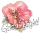 Good Night