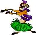 Hula Timon