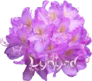 Lynyrd - Purple Floral Bunch