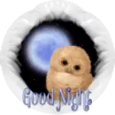 Good Night