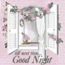 Good Night
