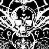 skull invert