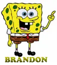 SPONGEBOB BRANDON