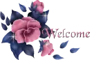 Welcome11