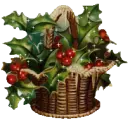 holly