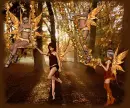 fairy