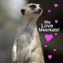 Merekat Love