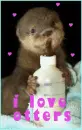I Love Otters