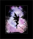 Fairy