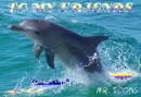 glitter dolphin
