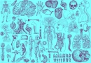 skeleton2