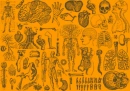 Orange Body Parts
