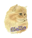 Hello