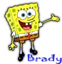 Brady