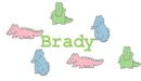 Brady