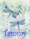 Tammy