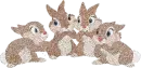 Rabbits