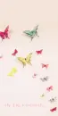 FLY LIKE A BUTTERFLY