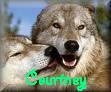 Courtney