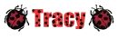 *~Tracy Ladybug~*