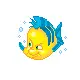 Flander