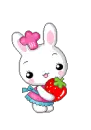 bunny