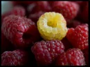 aaa
