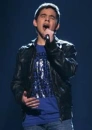 david