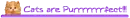 Dividers