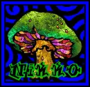 nikko