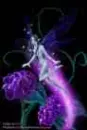 Pixie Dust